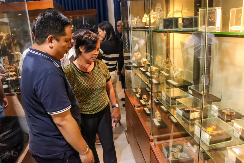 A man and a woman look closely into a glass museum cabinet filled with preserved biological specimens, including small skeletons and butterflies.